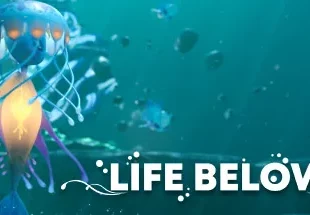 Life Below Megapop Kasedo Games, reef builder sous-marin récifs coralliens sortie Steam mai 2026