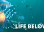 Life Below Megapop Kasedo Games, reef builder sous-marin récifs coralliens sortie Steam mai 2026