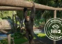 Planet Zoo 2 gameplay deep dive Frontier Developments global illumination tigre aviary aquarium Wildlife Reserves