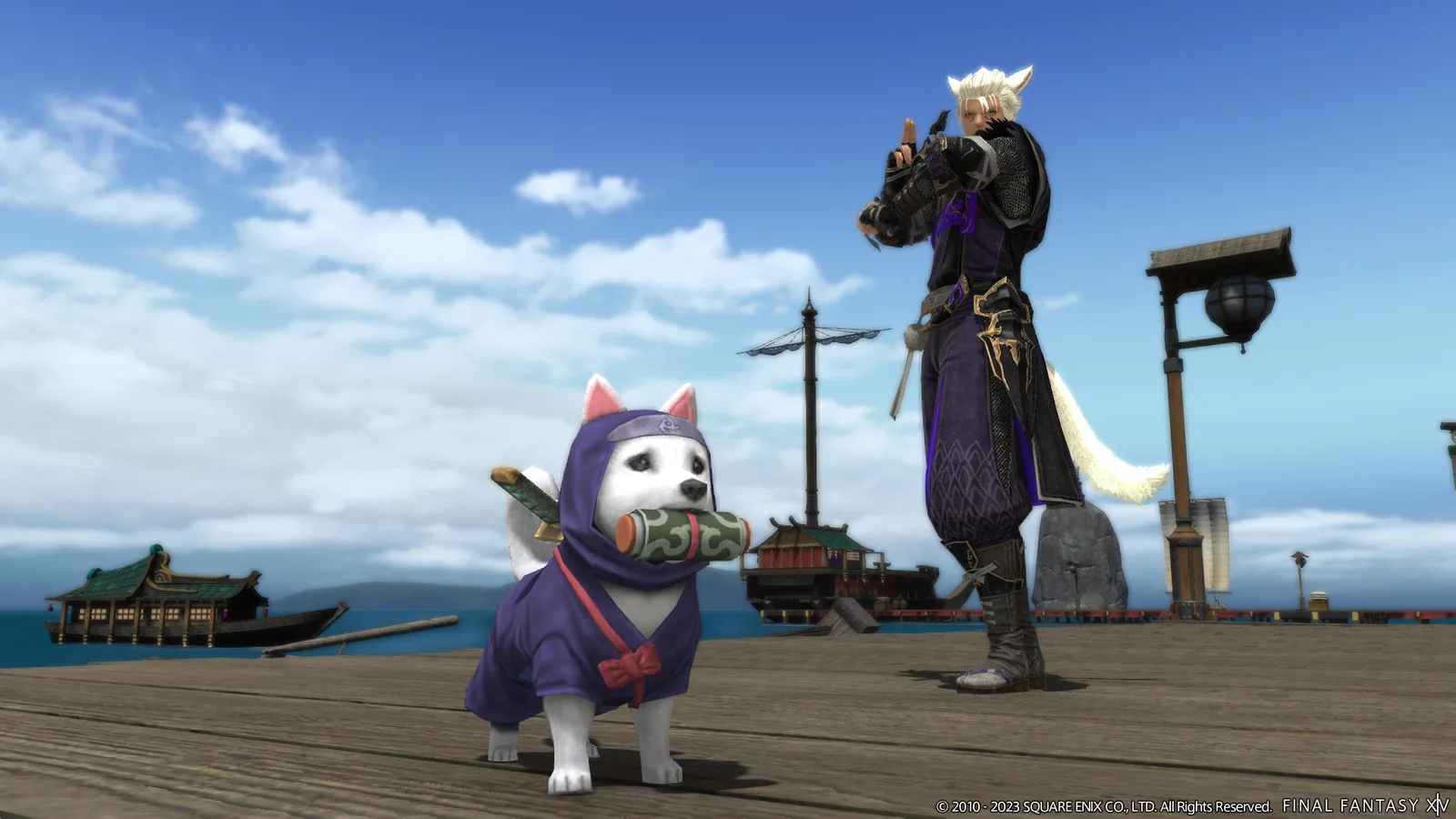 Récompenses du donjon à embranchement du mont Rokkon : mascotte ninja et tenue sombre
