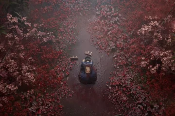Silent Hill f fins : Hinako dans un chemin de lycoris rouges